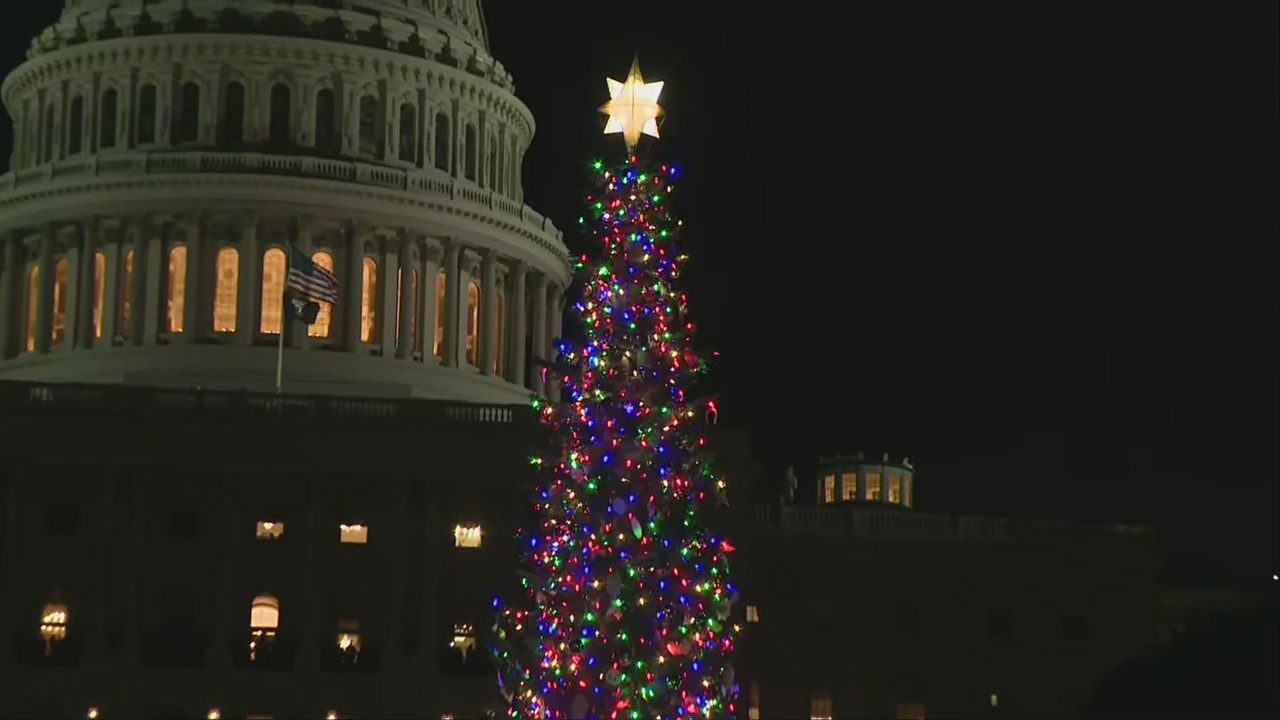 WATCH: 2025 Capitol Christmas tree lighting ceremony