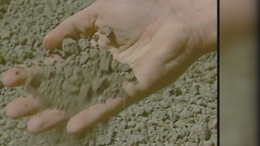 Why Michigan's summer has been uniquely hot