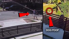 'Neighbor from Hell' in Beverly Hills