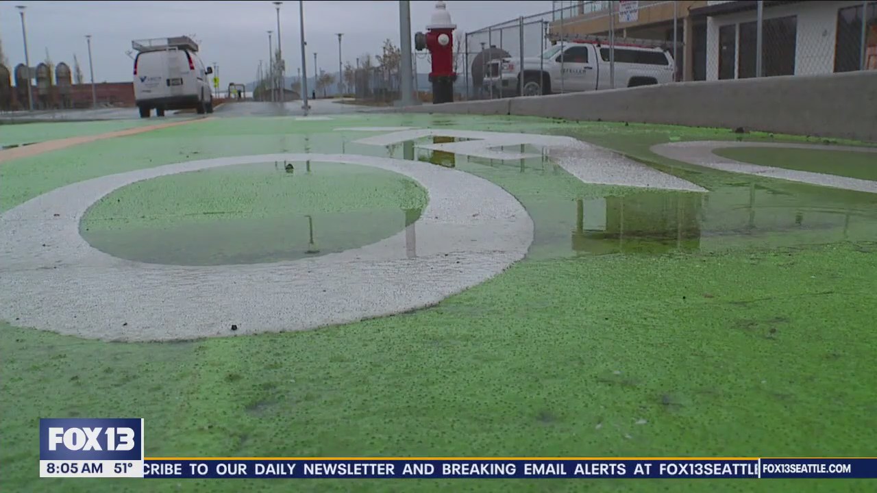 Seattle mayor unveils transportation levy proposal