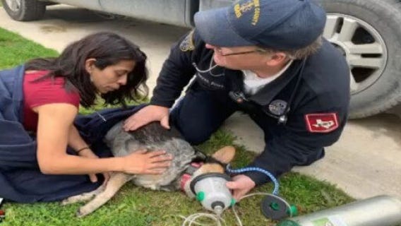 Medics revive dog in Del Valle fire