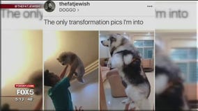 Meme star Tank Sinatra