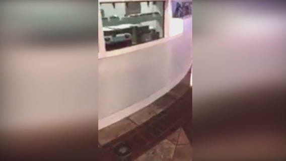 Video captures rat running through cases at Sprinkles Cupcakes in Glendale