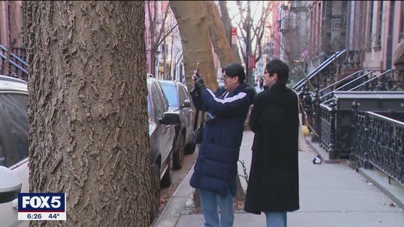 'Sex in the City' flock to the West Village forcing city approve installation of iron gate