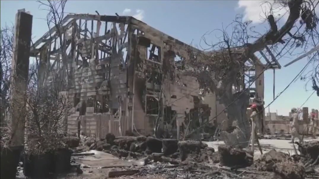 Maui wildfires leave thousands homeless