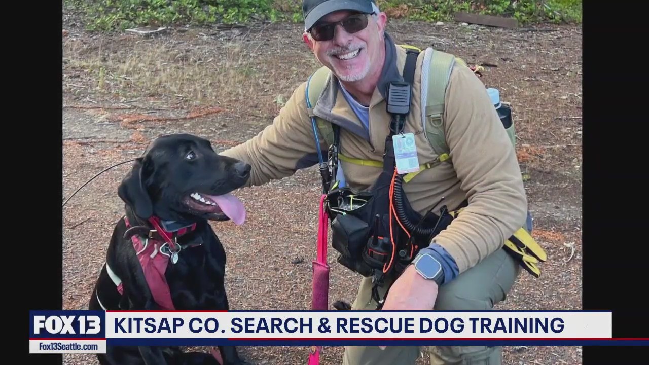 Kitsap County Search Dogs seeking 'hider' volunteers