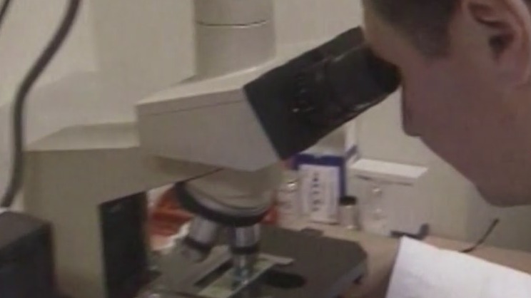 Lesbian couple has trouble conceiving due to U.S. Black sperm donor shortage