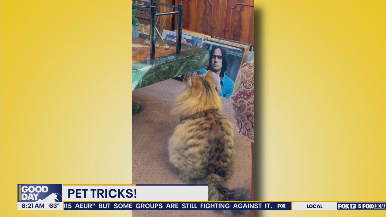 Pet Tricks for Monday, June 30