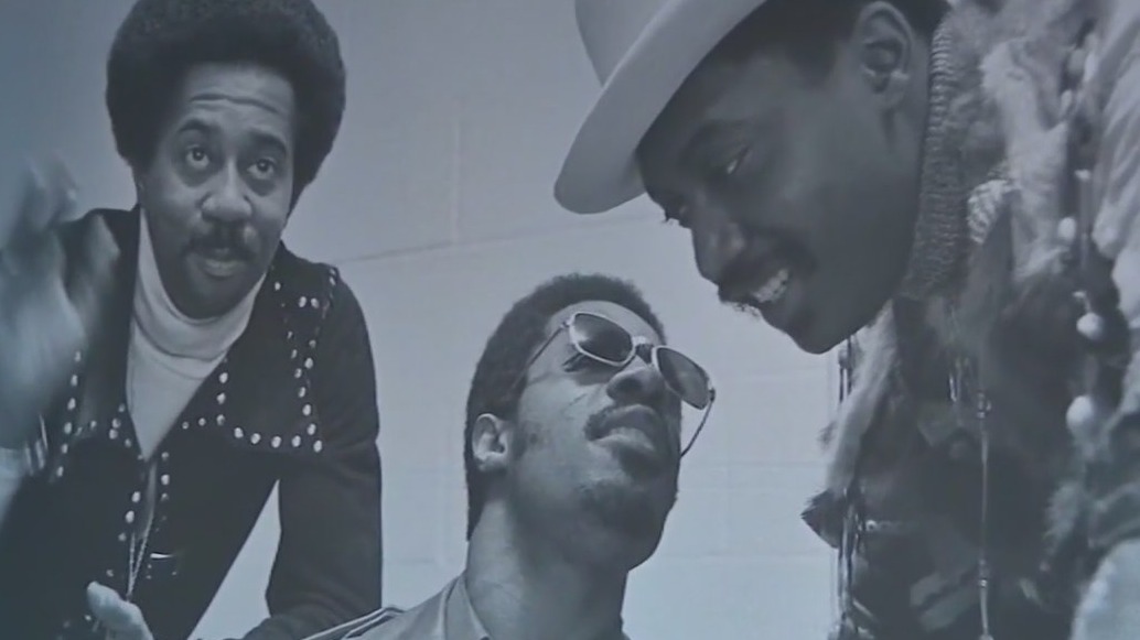 Exhibit celebrates life of Stevie Wonder