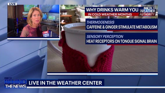Science behind drinking hot chocolate and warm drinks