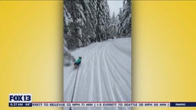 Liz's Pet Tricks for Friday, January 13