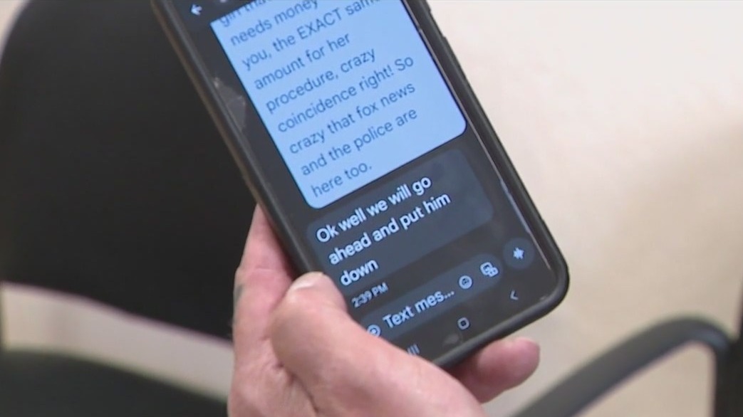 People posing as vets in missing pet scheme