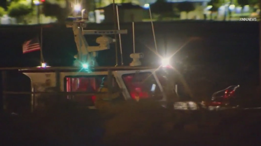 Shark bites swimmer in San Pedro