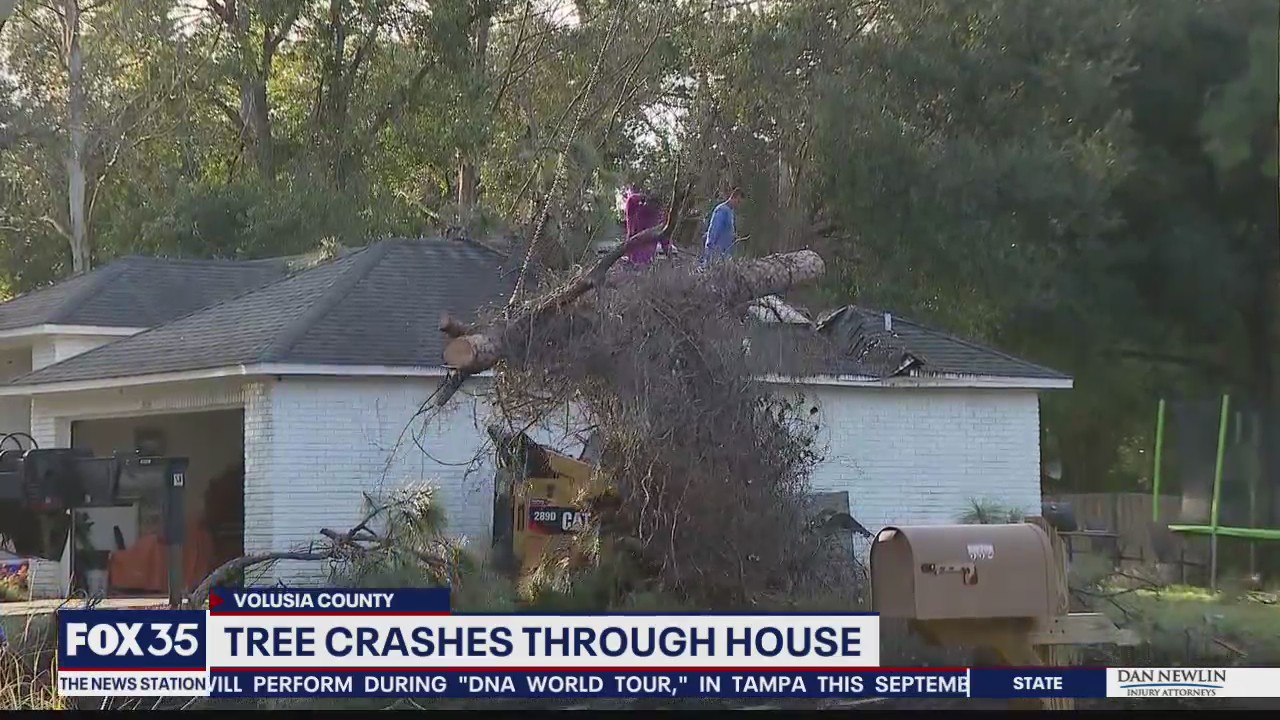 Tree crashes into DeBary house