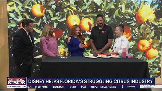 Florida's struggling citrus industry gets help from Disney
