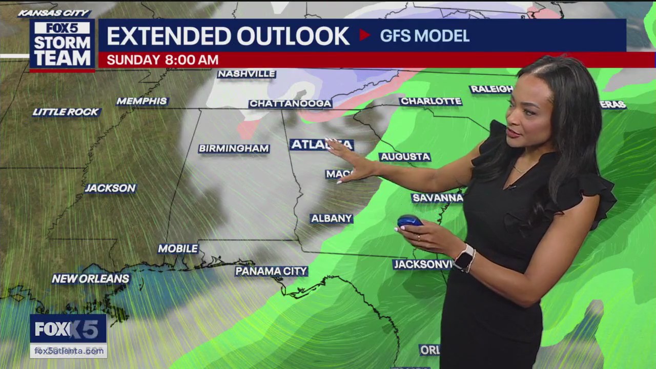 Arctic blast timeline in Georgia