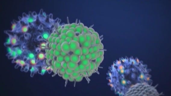 Omicron: What we know about the new coronavirus variant