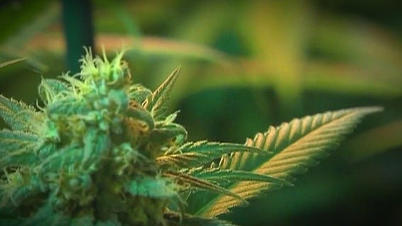 Arizona cannabis sales top $1 billion mark