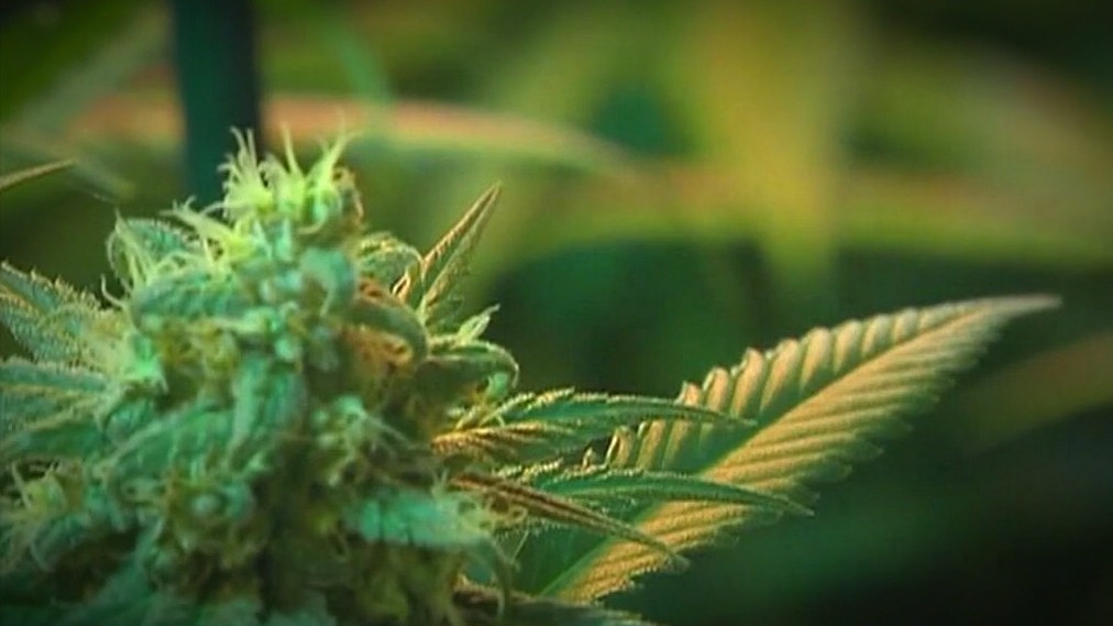 Arizona cannabis sales top $1 billion mark