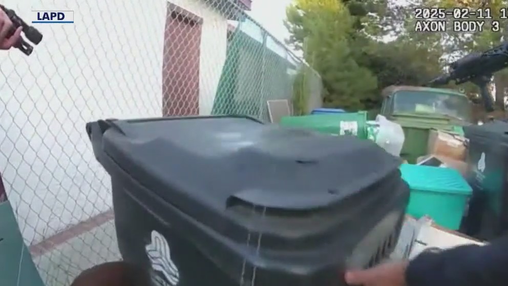 LAPD releases footage of police shooting, arrest