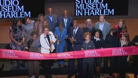 Studio Museum in Harlem reopens