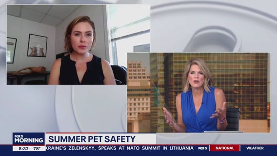 Summer pet safety