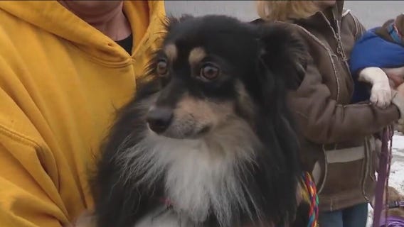 Tinley Park family raises $10K in donations for P.A.W.S. Tinley Park