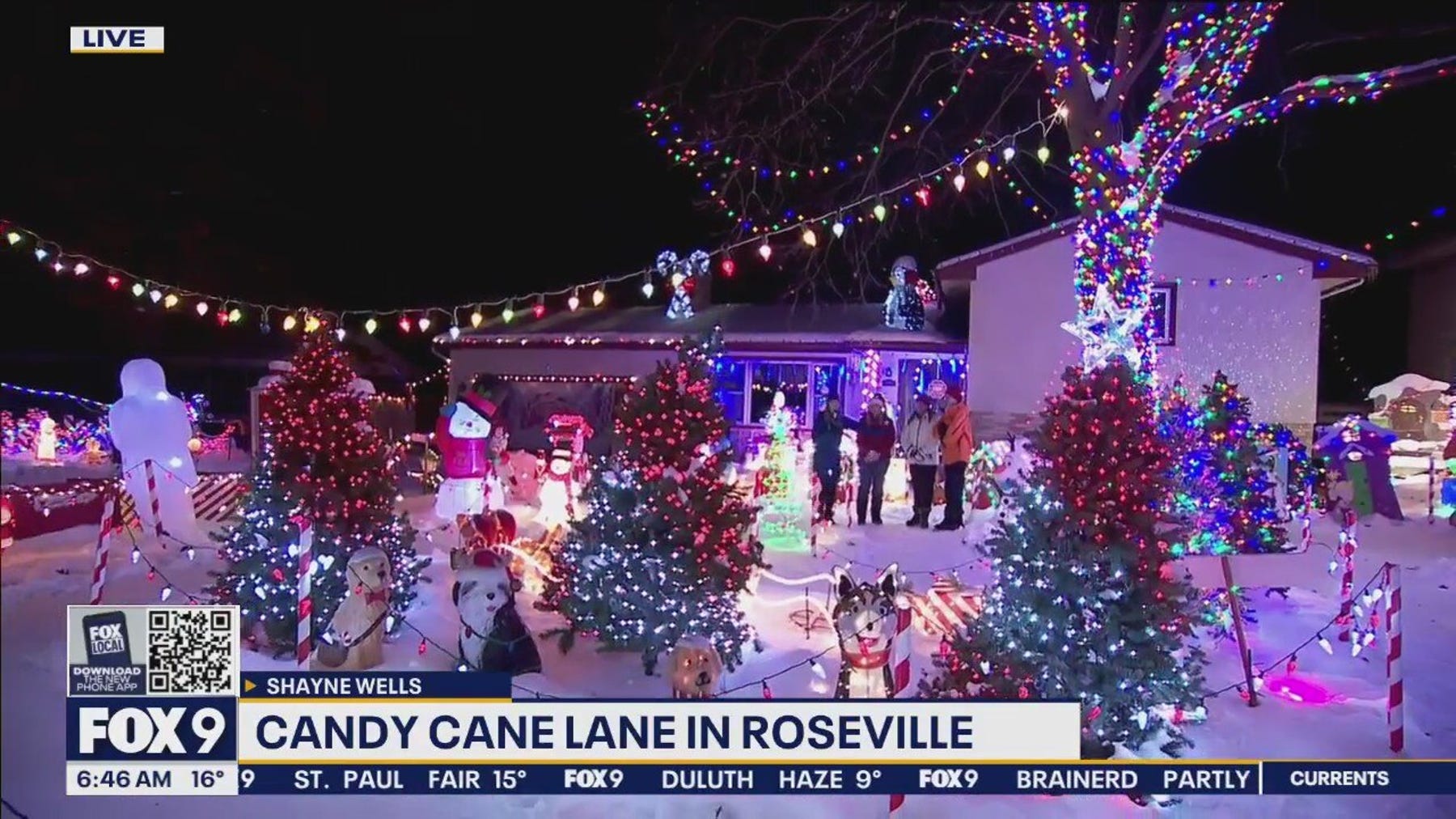 Move over Griswold family; the Joyces have you beat