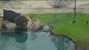 Landscaper rescues trapped driver from Naperville pond