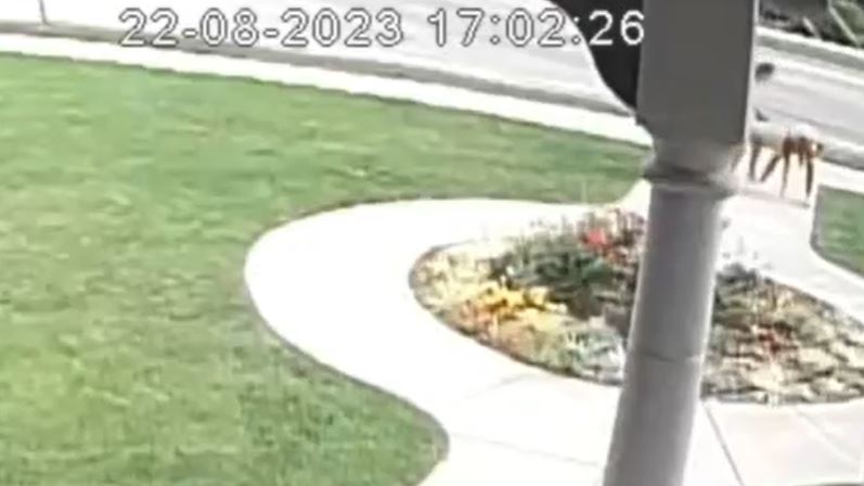 Suspects wanted after hateful graffiti found in Ann Arbor | FOX 2 Detroit