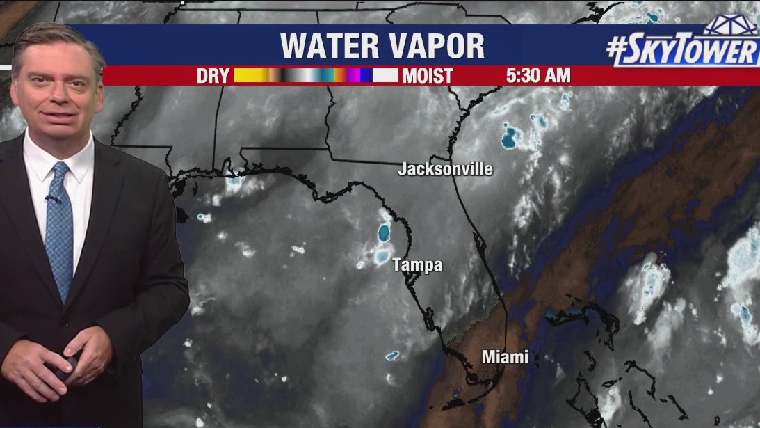 Tampa weather | late-day rain anticipated | FOX 13 Tampa Bay