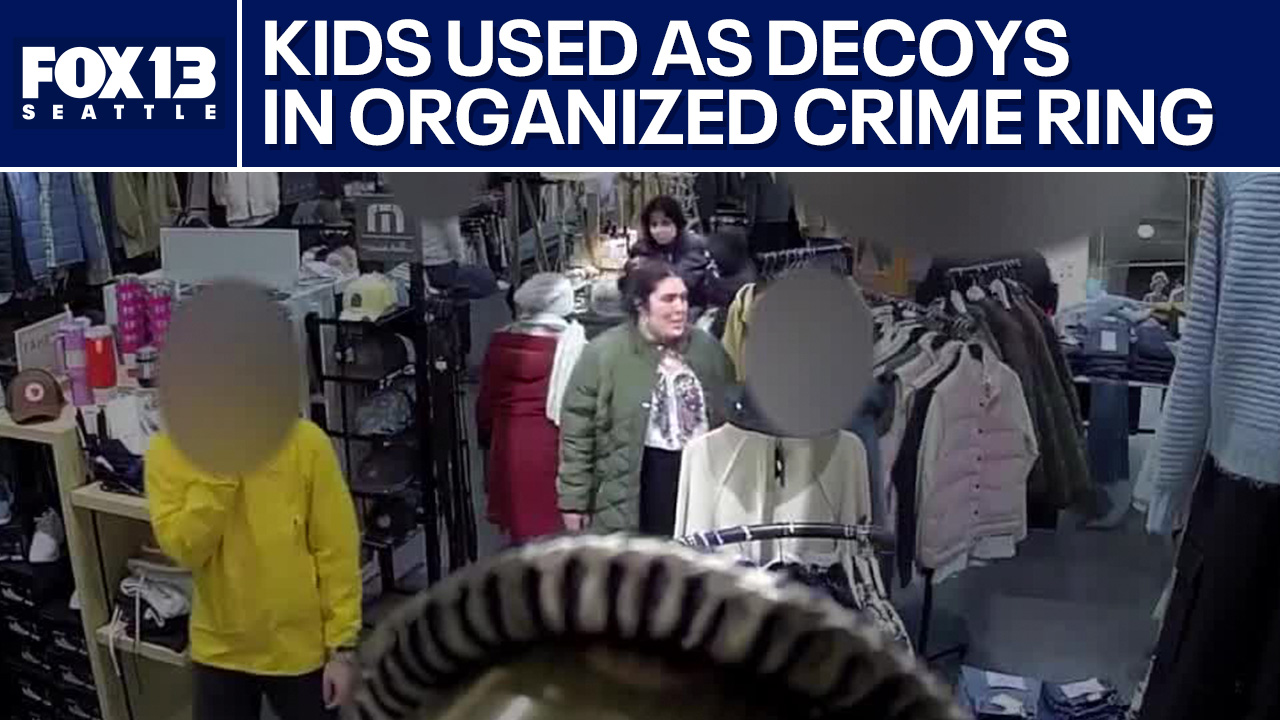 The Spotlight: Using kids as accomplices in organized theft rings