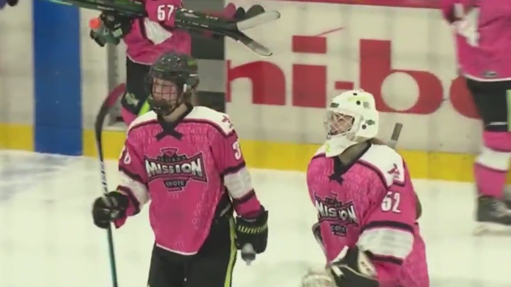 'Pink in the Rink' fundraiser aims to support American Cancer Society