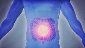 New study links bathroom habits to organ health