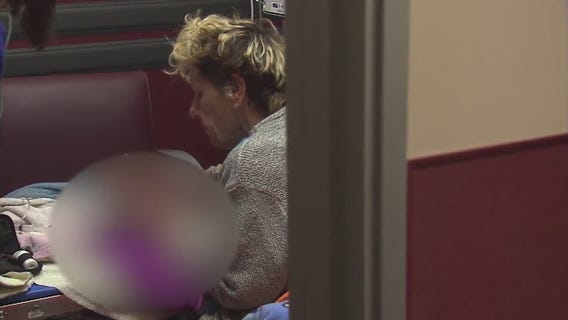 Swarm of angry bees attack 2 people, dogs in Norco