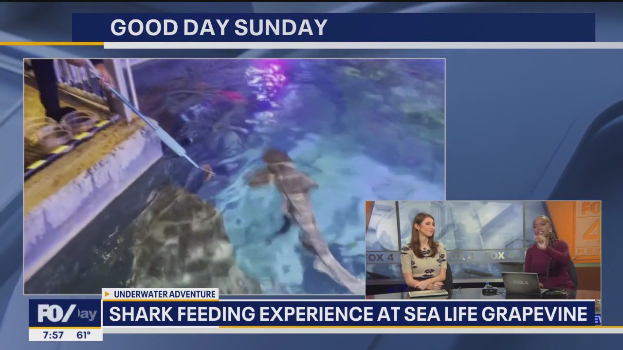 4 the week with Tisia and Kylie