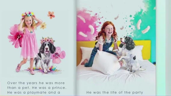 New book aims to empower dyslexic readers