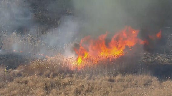 Brush fire burns in Marine Park area of Brooklyn