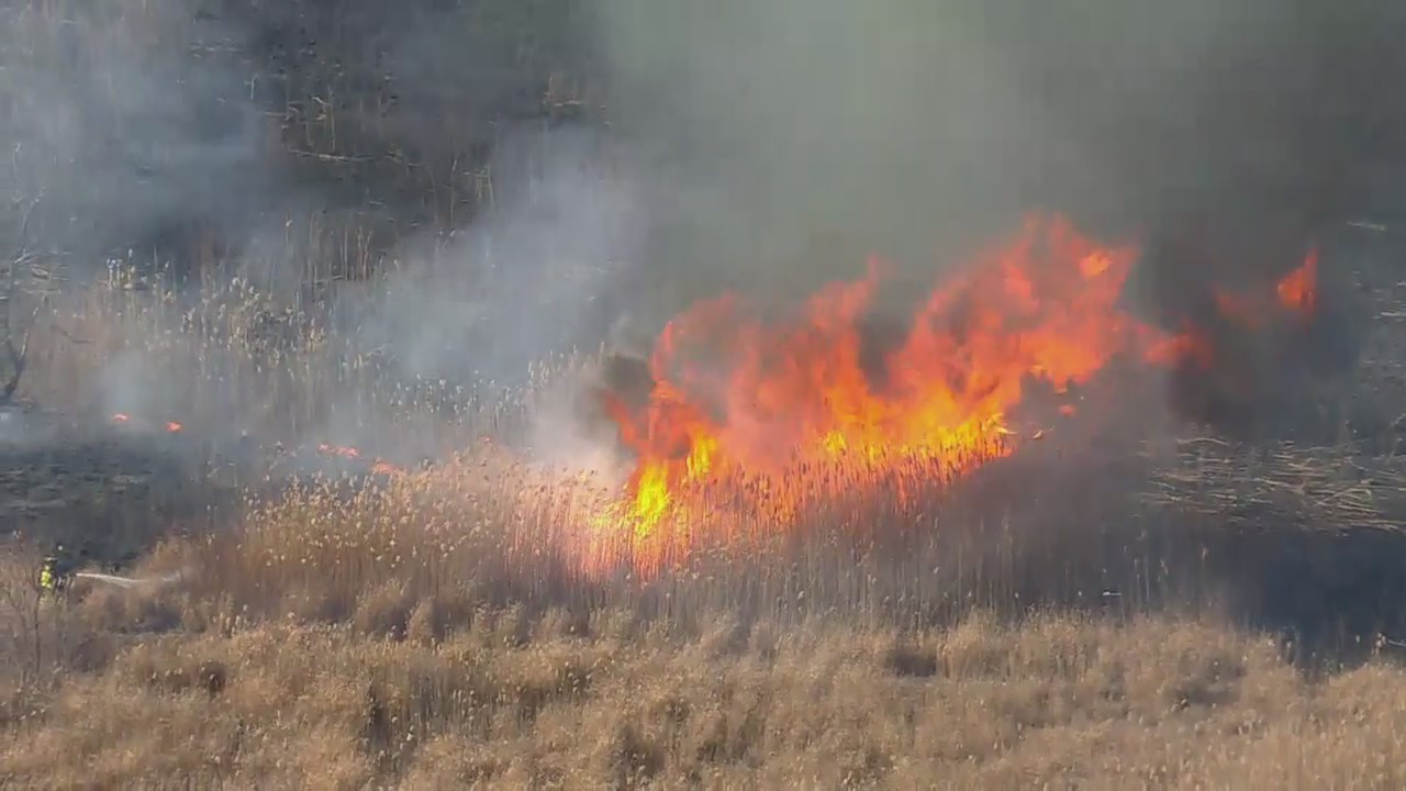 Brush fire burns in Marine Park area of Brooklyn