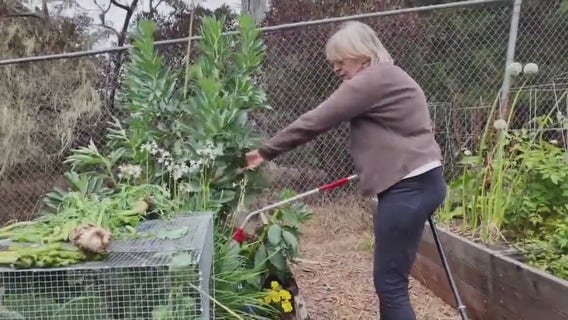 Senior community gardening in San Francisco | KTVU