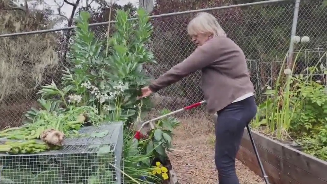 Senior community gardening in San Francisco | KTVU