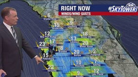 Tampa weather | Thursday forecast
