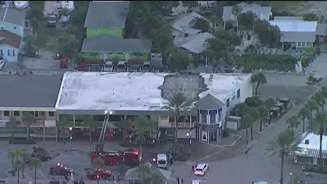 Dozens of animals killed at rescue center