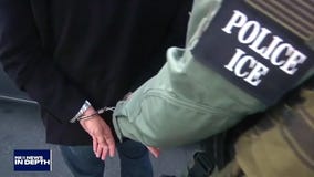 In Depth: Immigration Law