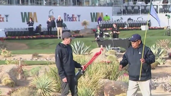 Arrests up at WM Phoenix Open in Scottsdale