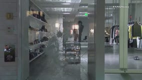 High-End Smash and Grab Robberies