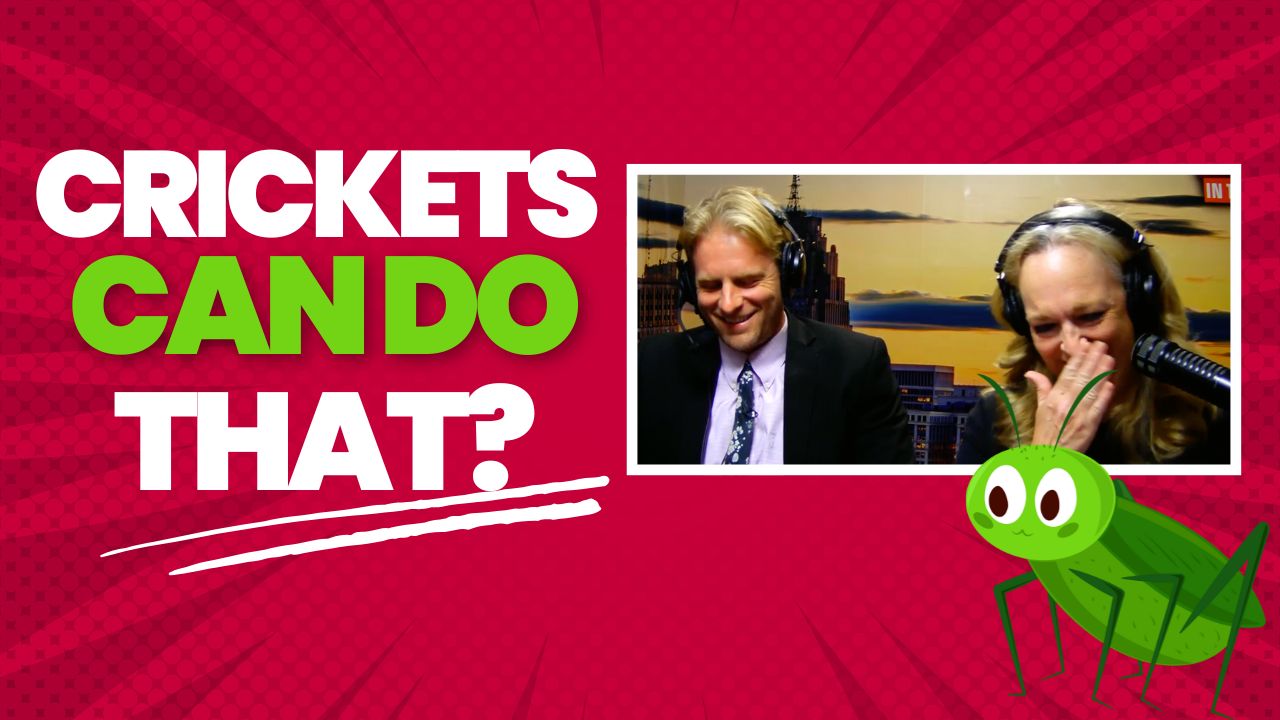 Allyson?s Cricket Theory Blows Alan?s Mind