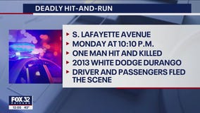 Chicago police seek driver in deadly hit-and-run in Chatham