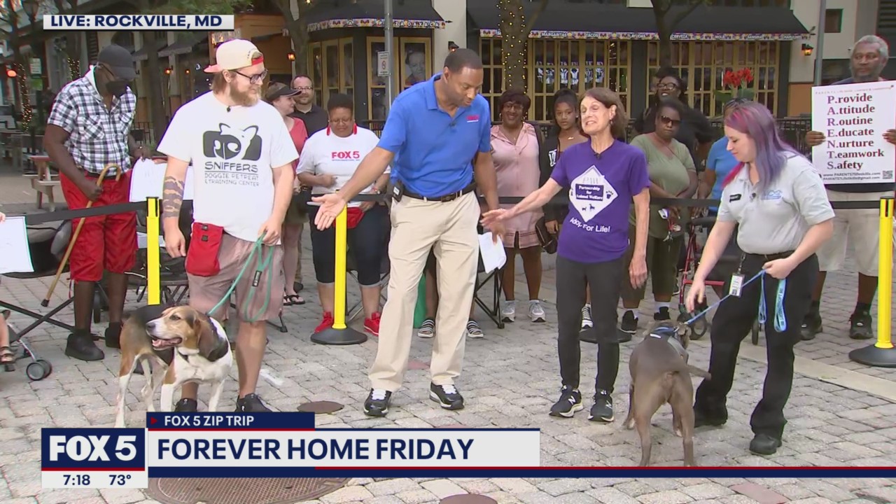 FOX 5 Zip Trip Rockville: Forever Home Friday!