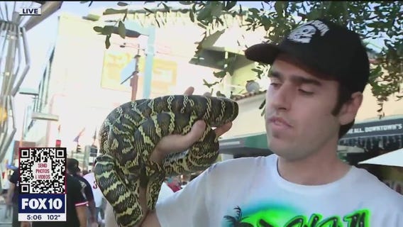 NLCS: Fan brings 'good karma' to Downtown Phoenix